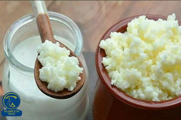 شگفت انگیزترین خواص نوشیدنی کفیر