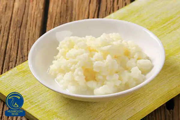 خواص بی نظیر نوشیدنی کفیر