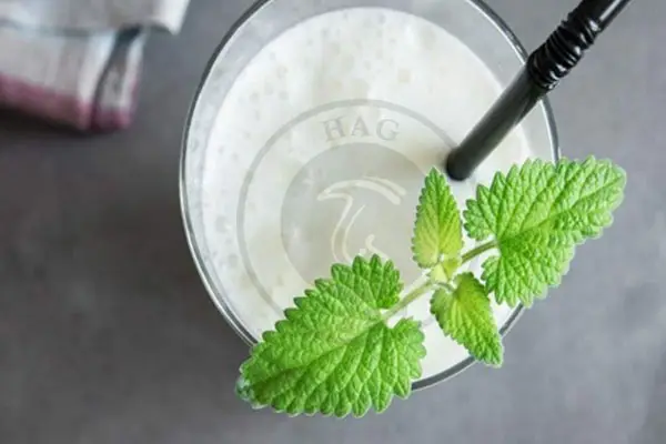 قارچ کفیر چیست؟ + آشنایی کامل با خواص