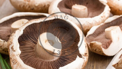 خوردن قارچ‌های دکمه‌ای سفید پیشرفت سرطان پروستات را کُند می‌کند