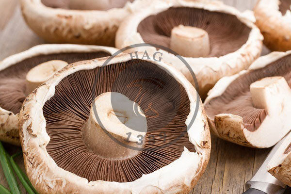 خوردن قارچ‌های دکمه‌ای سفید پیشرفت سرطان پروستات را کُند می‌کند