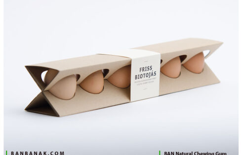 بسته بندی تخم مرغ
