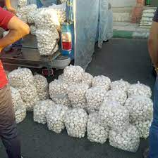 ساماندهی بازار قارچ