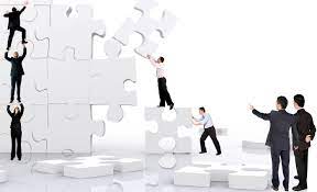 ساماندهی بازار قارچ