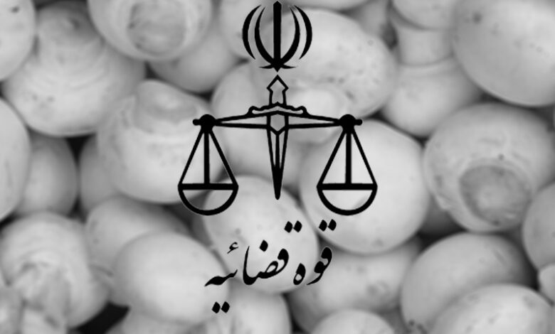 معرفی ۲۶ واحد متخلف پرورش قارچ شهرستان ری به مراجع قضایی, هاگ