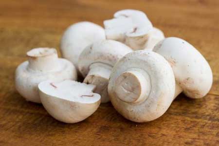 شگردهای کاربردی در نگهداری از قارچ خوراکی, هاگ