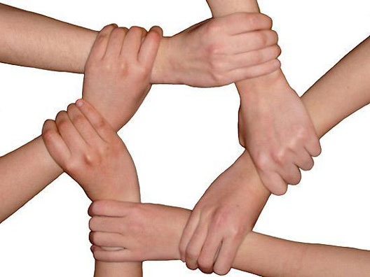 صنعت قارچ را دریابید؟؟!!, هاگ