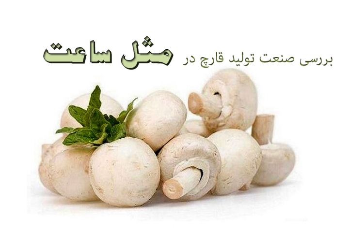 پادکست بررسی صنعت تولید قارچ کشور