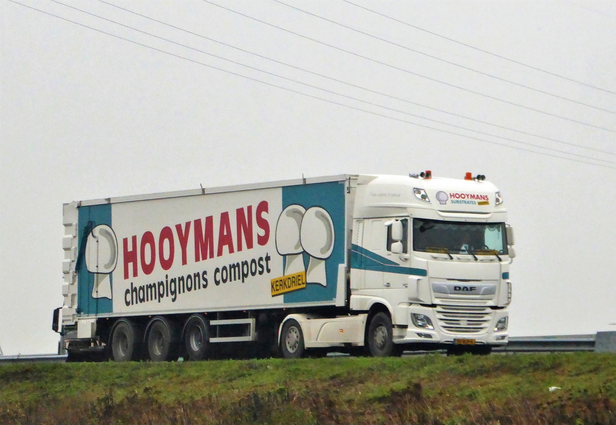 مراحل ساخت کمپوست در شرکت hooymans compost