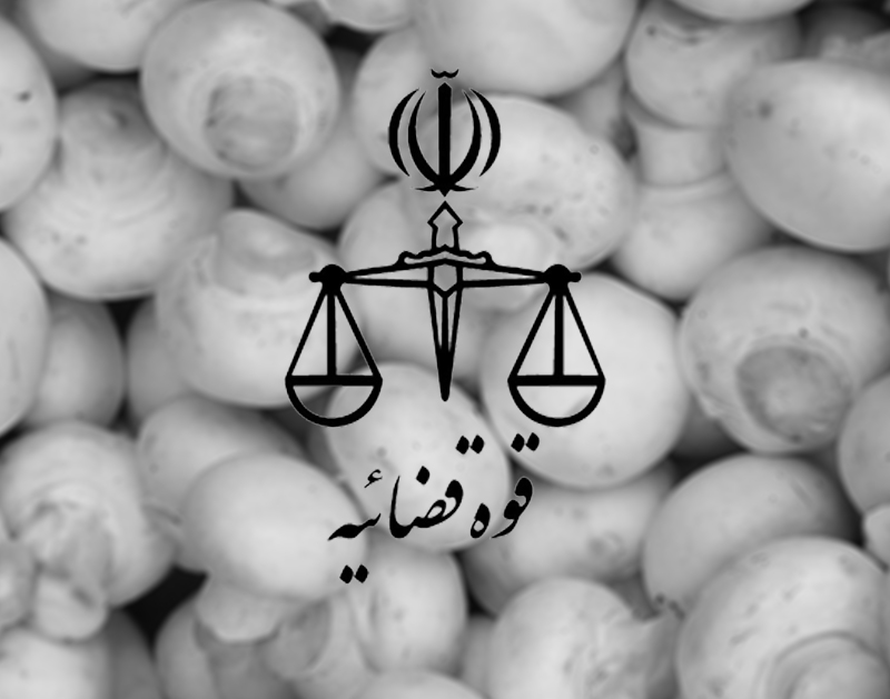 معرفی 26 واحد متخلف پرورش قارچ