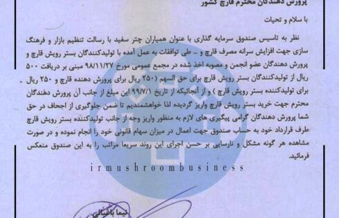 صندوق همیاران چتر سفید