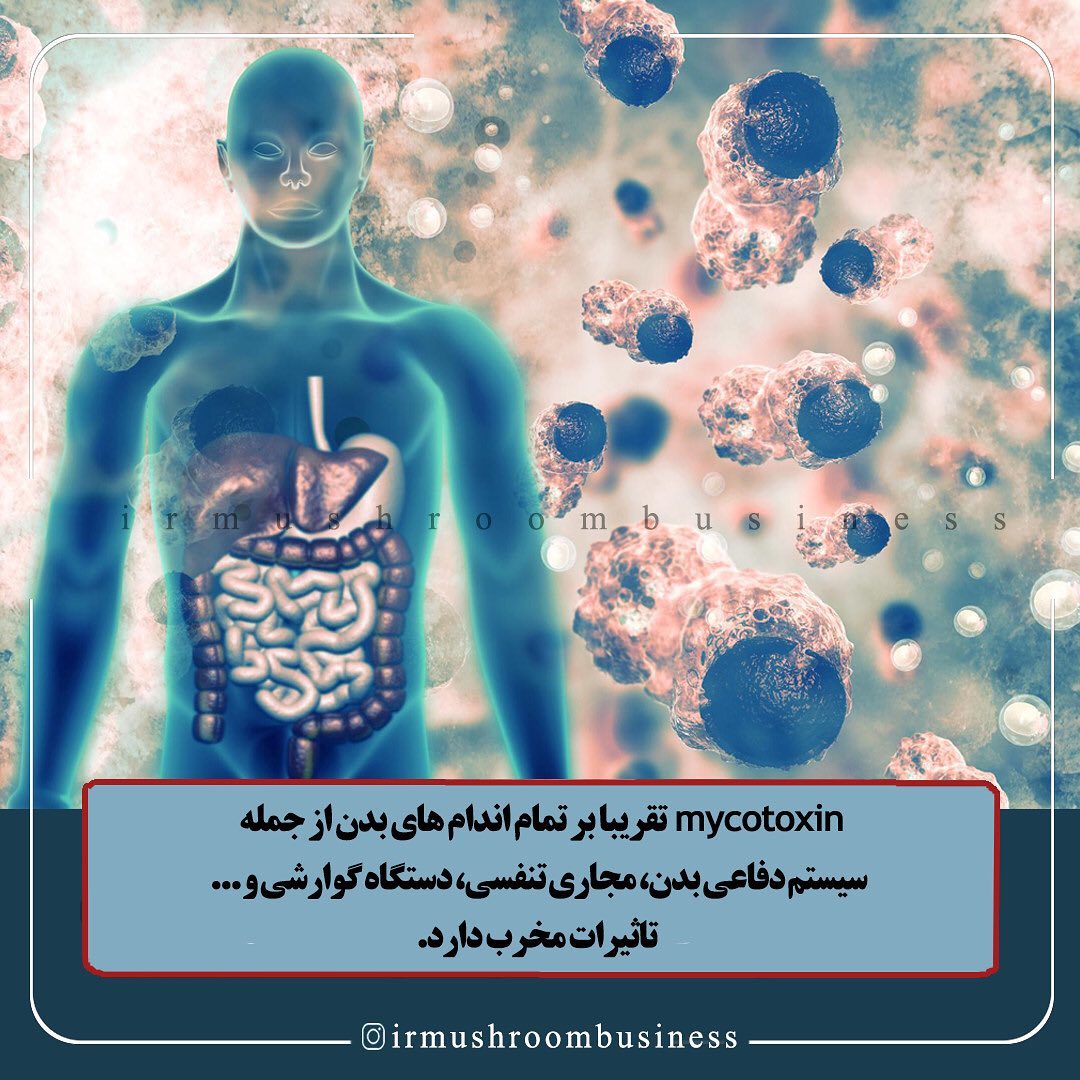 سلاح بیولوژیک2 کاربردی از قارچ ها در جوامع بشری