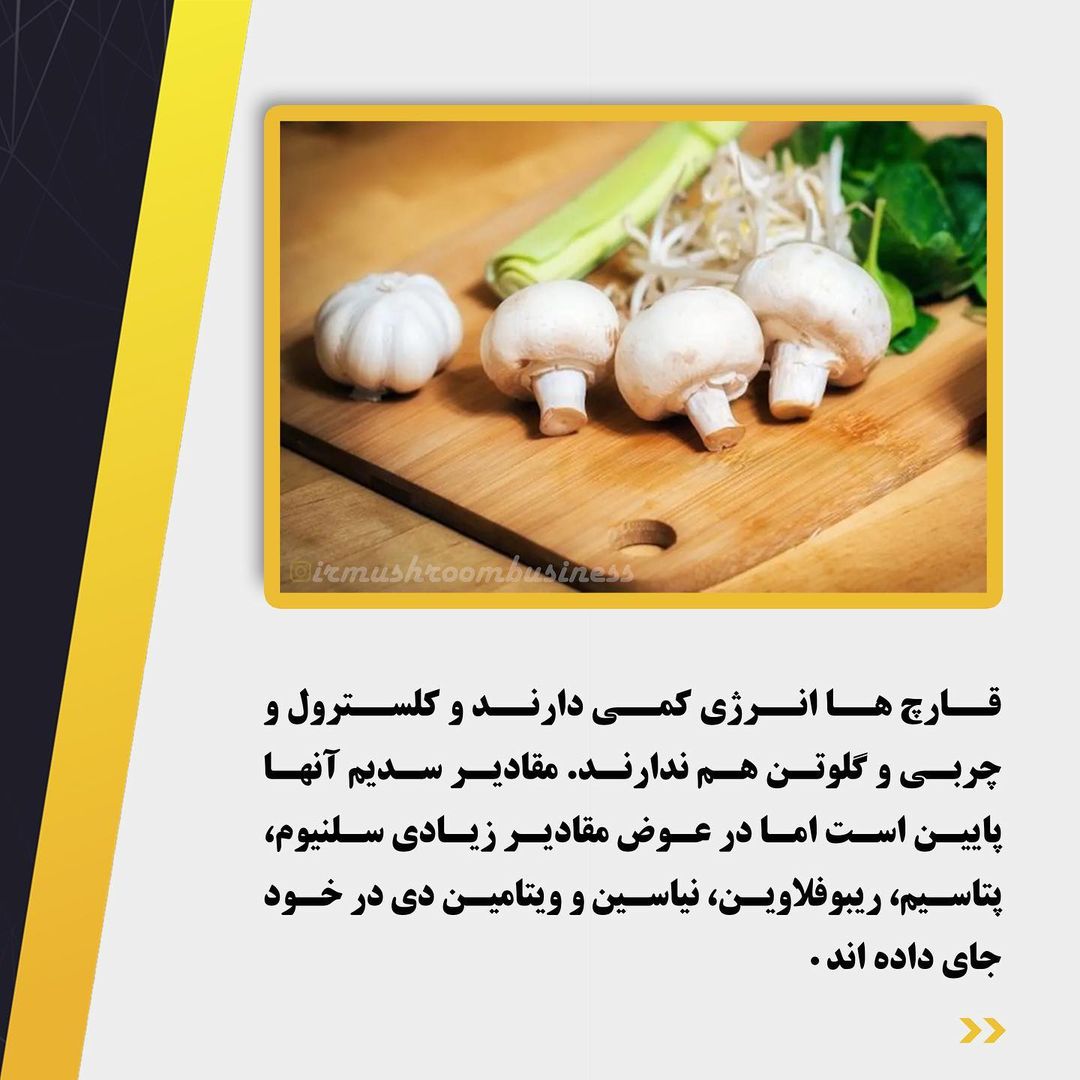 خواص قارچ