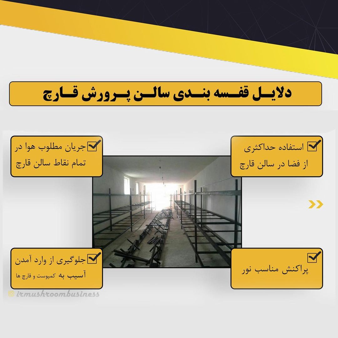  قفسه بندی سالن قارچ2