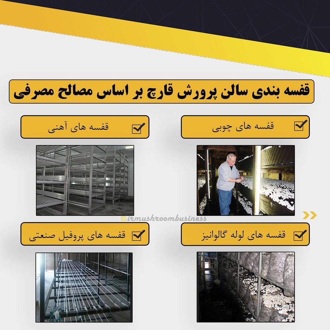  قفسه بندی سالن قارچ