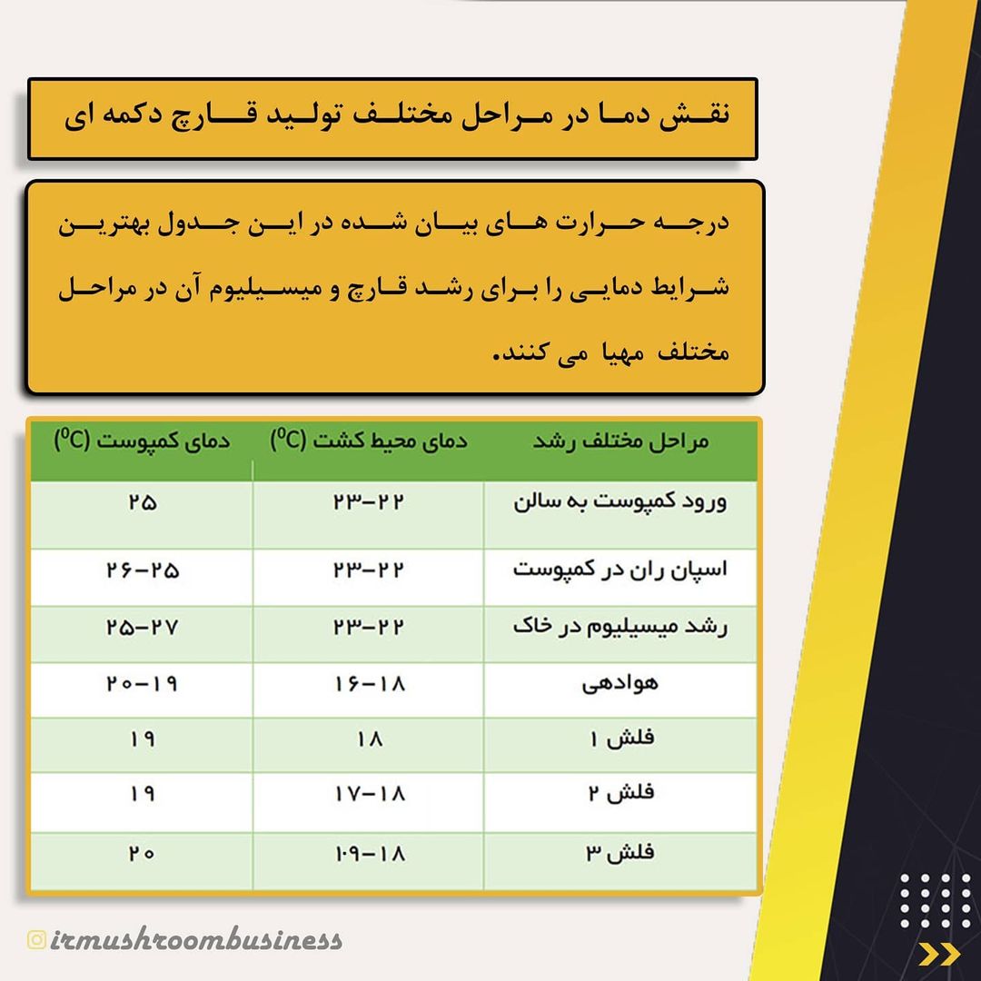 نقش دما در مراحل مختلف تولید قارچ