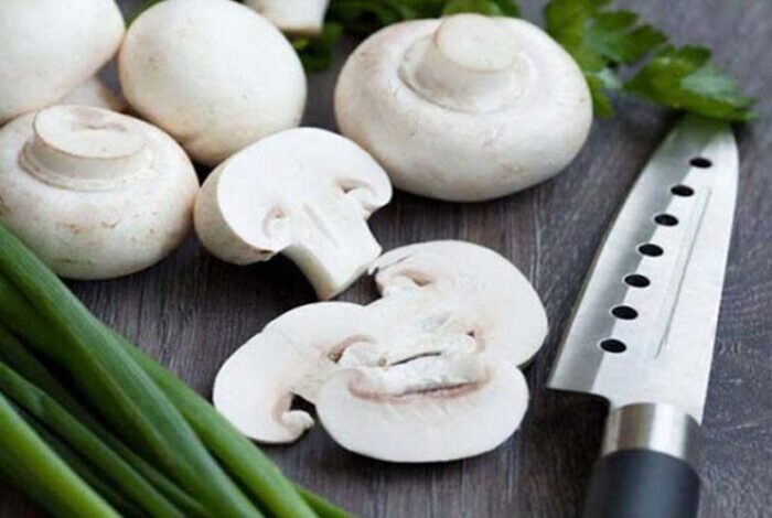 دلایلی برای مصرف بیشتر قارچ؟؟!!, هاگ