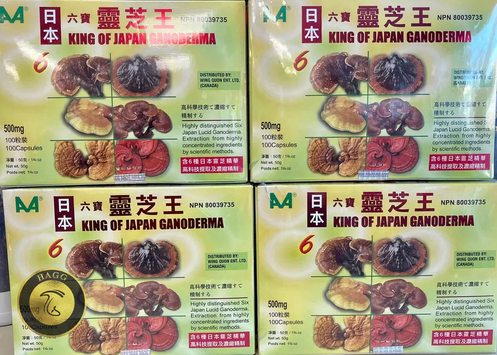 پرورش قارچ گانودرما در ژاپن