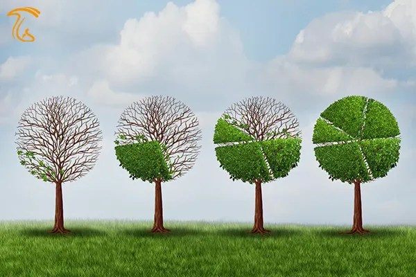 تفاوت صادرات قارچ با کم فروشی