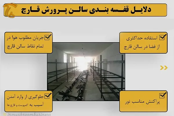 عکس مربوط به قفسه بندی سالن قارچ است