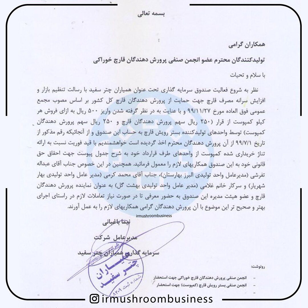 صندوق همیاران چتر سفید
