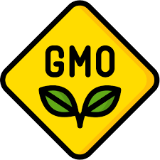 اولین قارچ با تغییرات ژنتیکی (GMO)