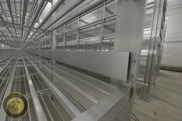 نکاتی از قفسه بندی سالن قارچ مهم و کاربردی