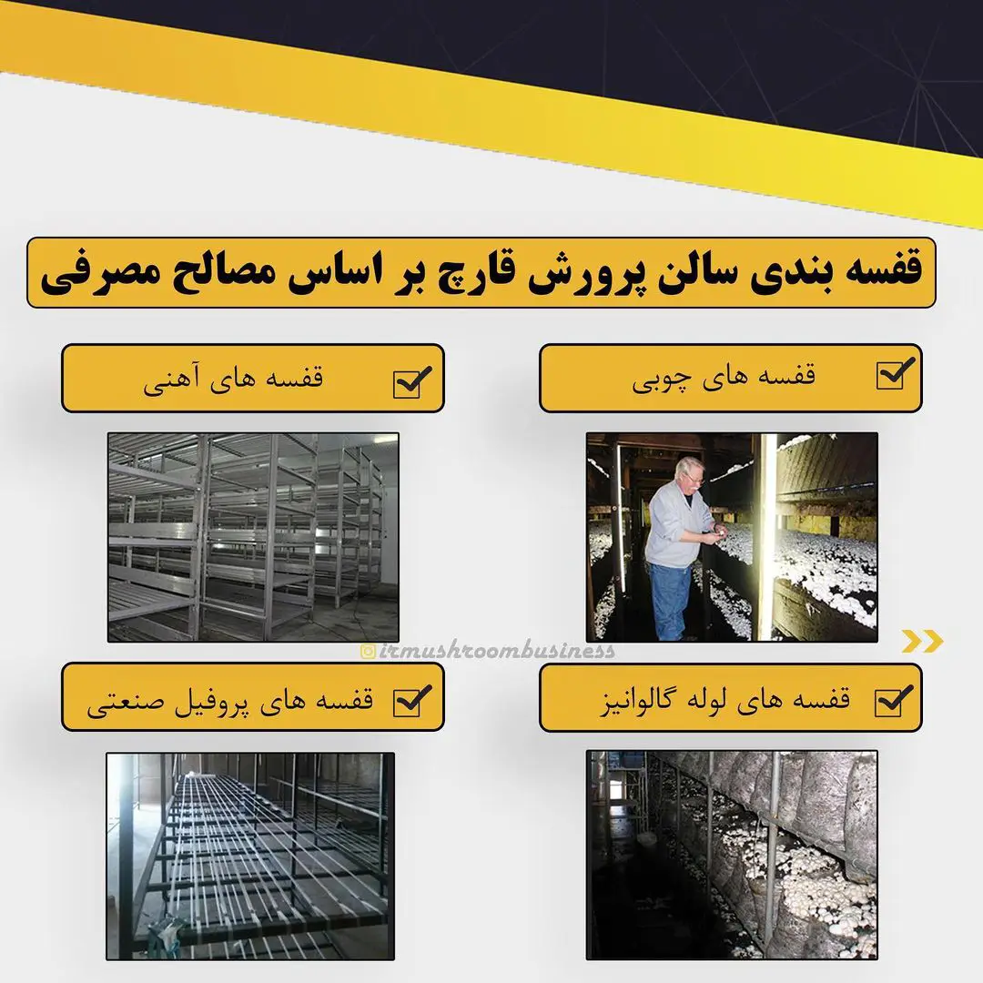 عکس مربوط به قفسه بندی سالن قارچ است