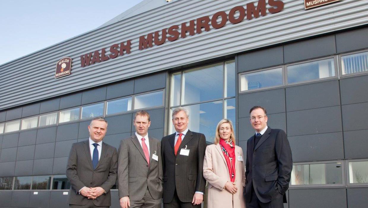 مزرعه قارچ Walsh Mushroom