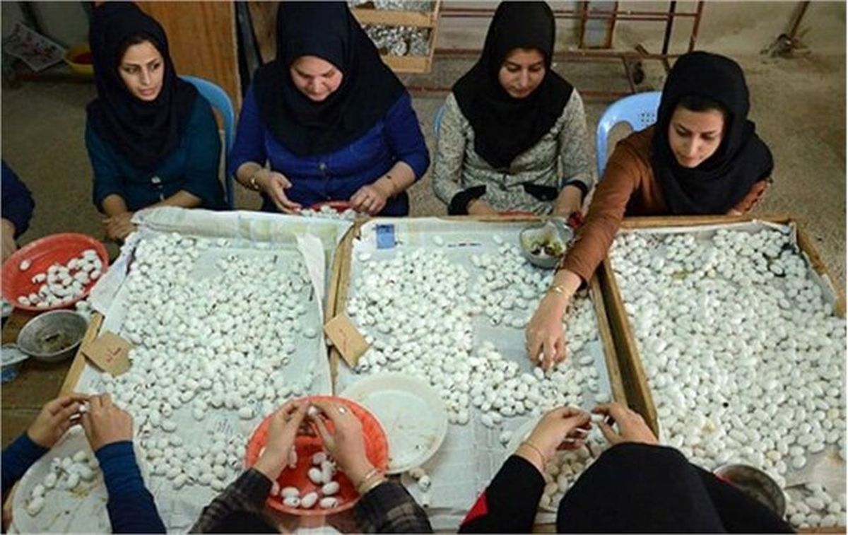 شغل های پردرآمد که تحصیلات عالیه نمی خواهند