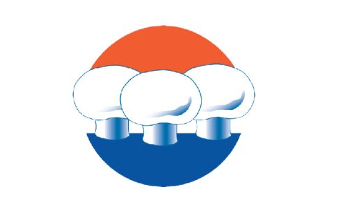 تاخیر در برگزاری Mushroom Day  هلند؟؟!!