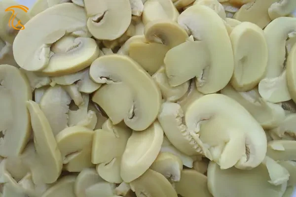 تریبون آزاد صنعت قارچ کشور