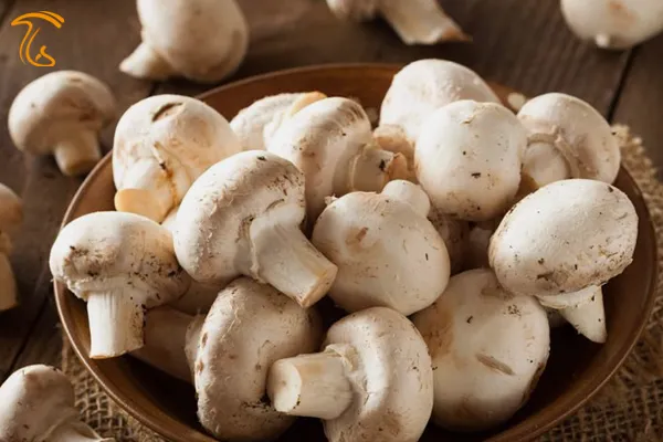 خاصیت‌های دارویی قارچ سفید برای سلامتی بدن چیست؟