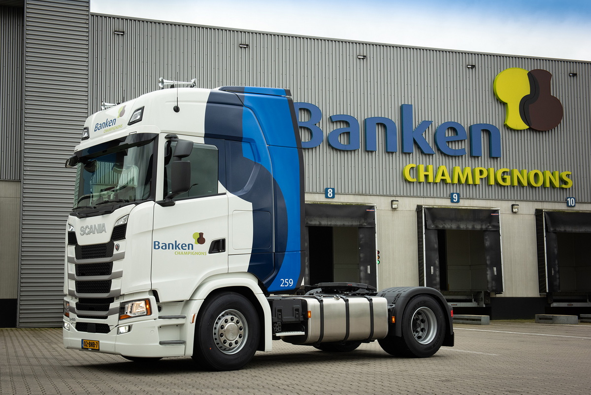 شرکت Banken Champignons