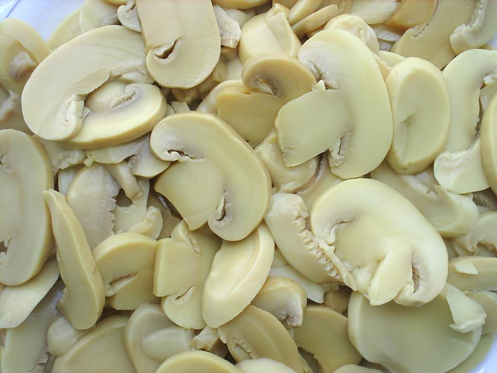 نگهداری قارچ در فریزر بدون سیاه شدن چگونه قارچ را فریز کنیم