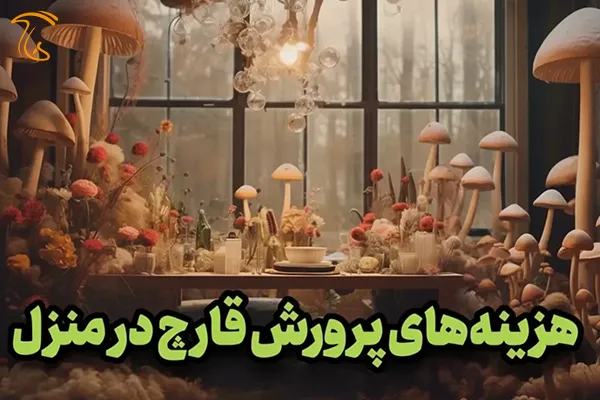 هزینه‌های پرورش قارچ در منزل