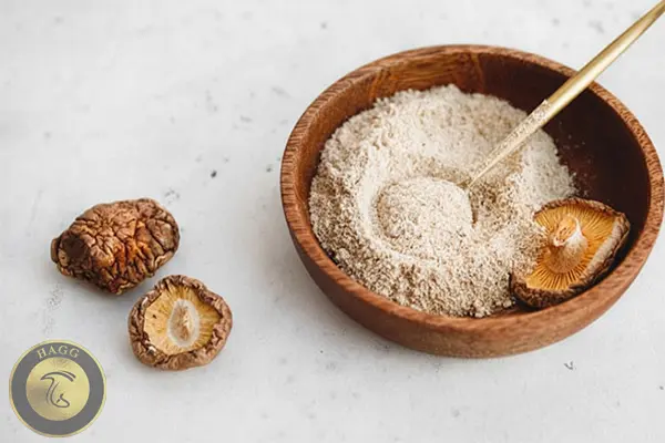 قارچ شیتاکه یک قارچ خوراکی با خواص دارویی