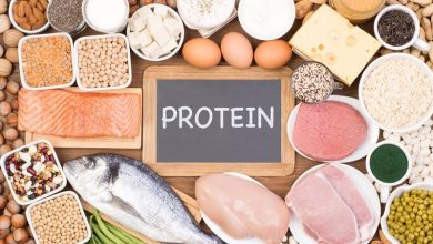 تولید پروتئین خوراکی با اجرای ۲ پروژه ملی تقویت می‌شود