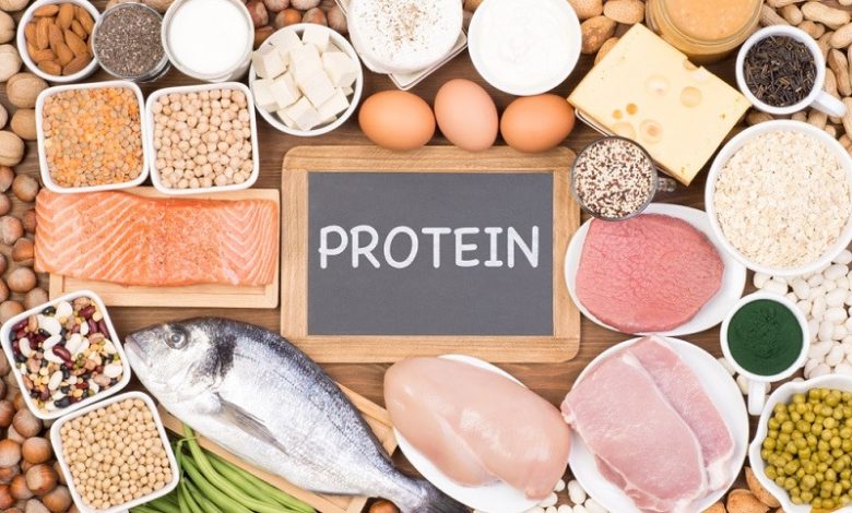 تولید پروتئین خوراکی با اجرای ۲ پروژه ملی تقویت می‌شود