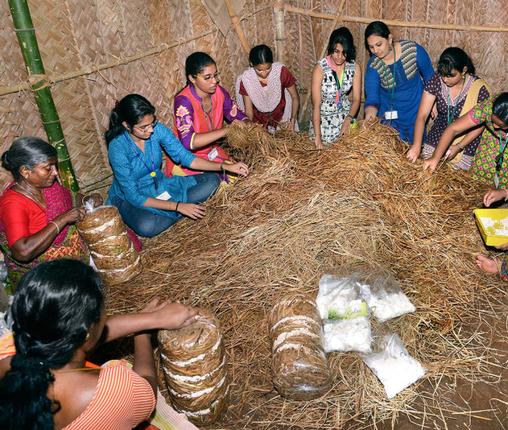پرورش قارچ توسط کارگران بنگال