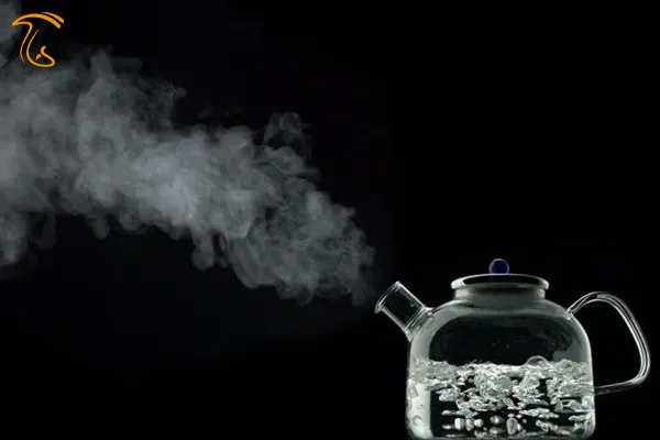 کاربرد بخار در صنعت قارچ چیست؟