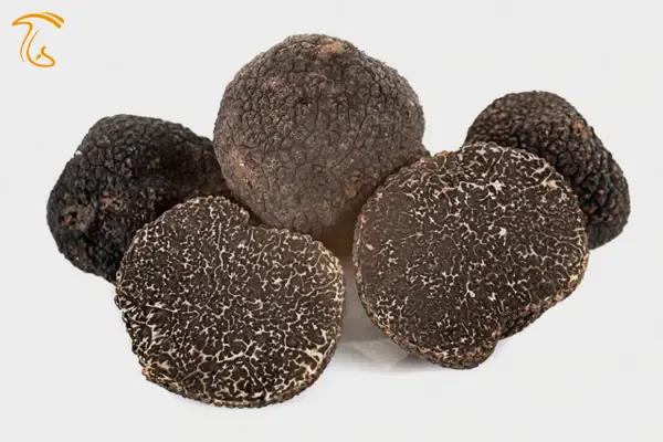 دنبلان سیاه فرانسوی Tuber melanosporum