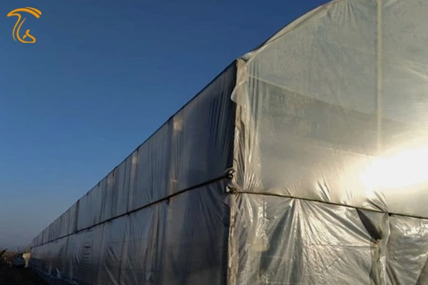 کارآفرینی با کشاورزی هر ماه ۲۰ میلیون تومان سود خالص دارد