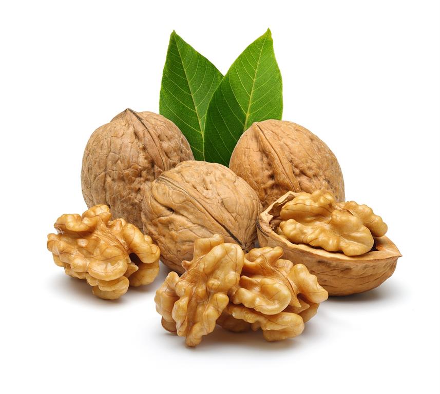 گردو در این رژیم غذایی از سالخوردگی جلوگیری می کند