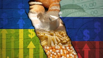 توقف تولید محصولات کشاورزی و قارچ اوکراین به دلیل حمله روسیه