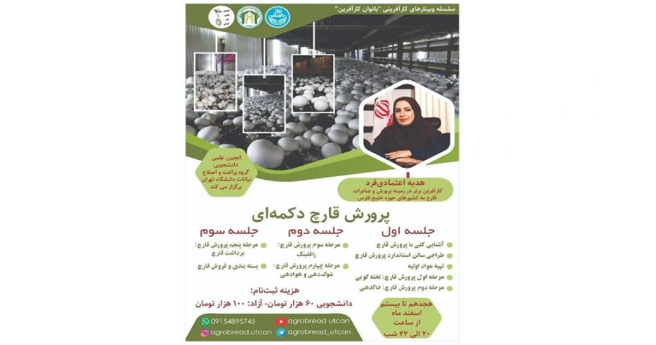 وبینار «پرورش قارچ دکمه ای» برگزار می‌شود