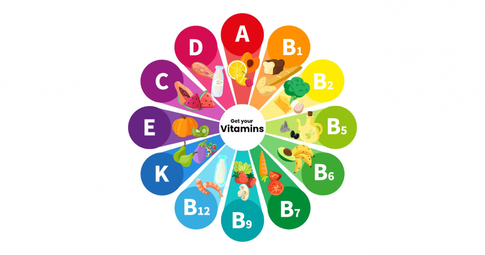 مواد غذایی و میوه‌هایی که انواع ویتامین‌ ها را دارند