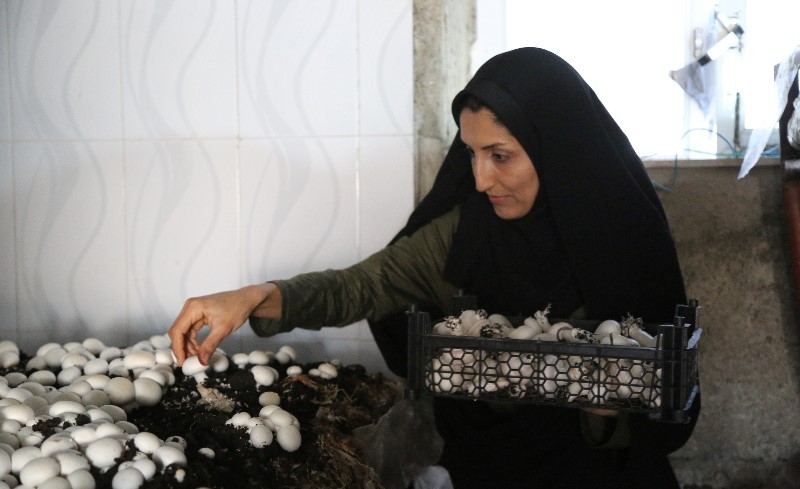 پایگاه بسیج خواهران اراک 400 میلیون تومان وام اشتغالزایی پرداخت کرد