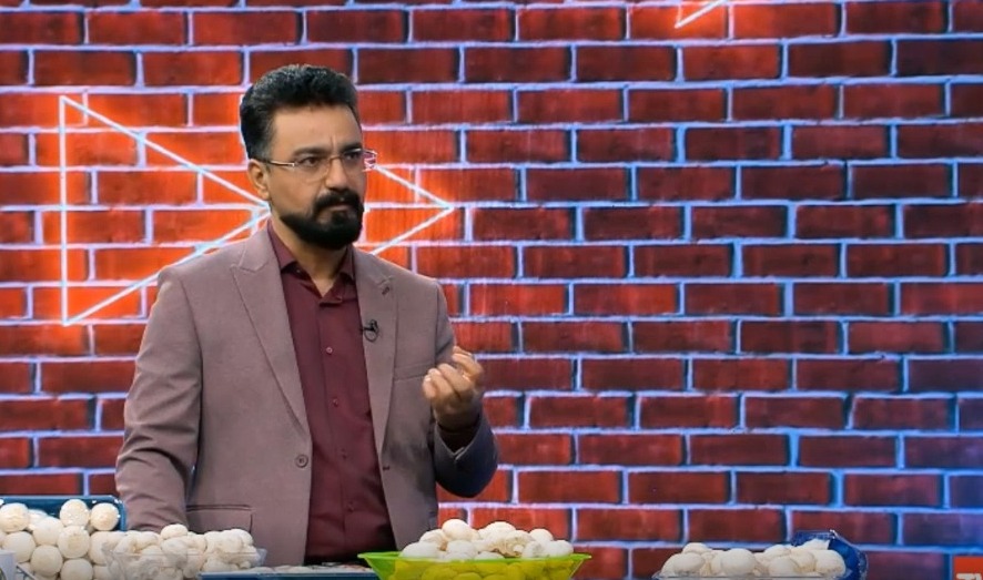 صحبت های سعید دلفانی در رابطه با صنعت پرورش قارچ میزان عرضه و تقاضا، ضرر و زیان های تولیدکنندگان