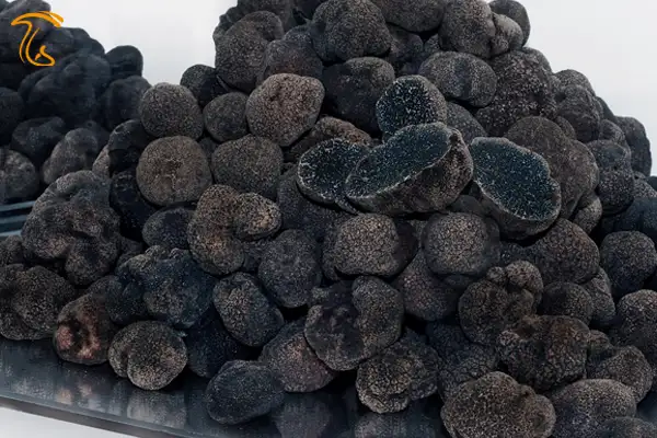 کشف ۶۱۹ کیلوگرم قارچ ترافل قیمت قارچ دنبلان